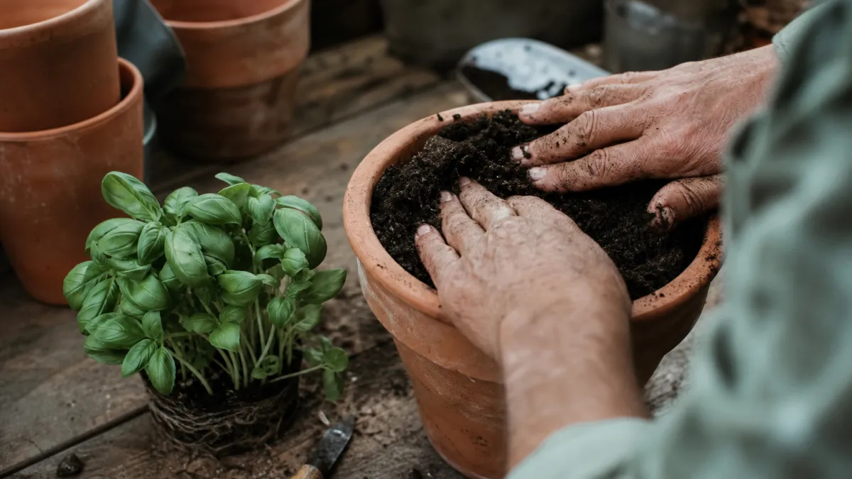 Jardipedia : le guide complet pour réussir votre jardin