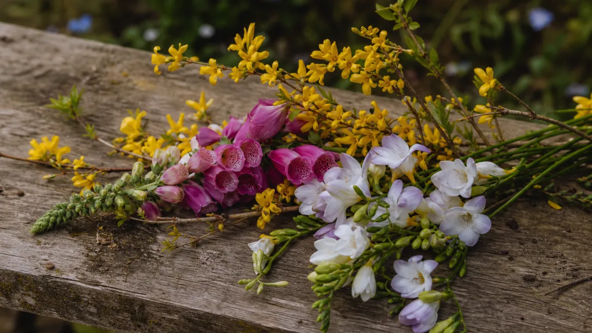 Fleurs commençant par la lettre F : liste et guide complet